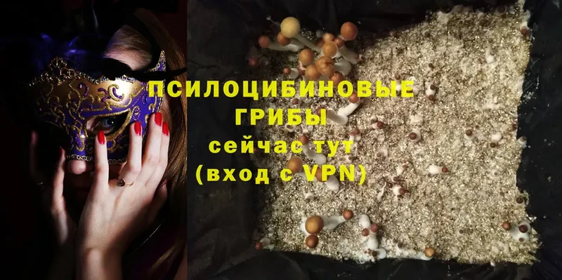 продажа наркотиков  Комсомольск-на-Амуре  Галлюциногенные грибы Magic Shrooms 